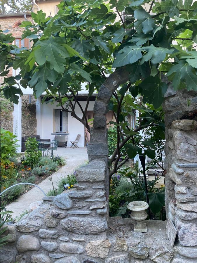 Apartmán Sculptors Retreat Céret Exteriér fotografie